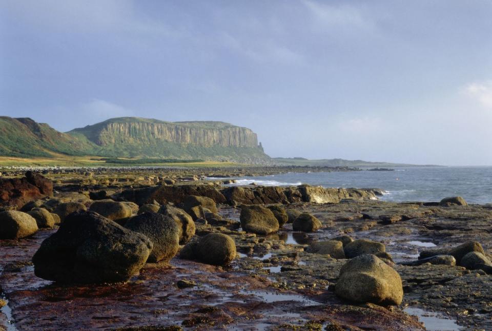 <p>The Cliffs of Drumadoon in Scotland // Date unknown</p>