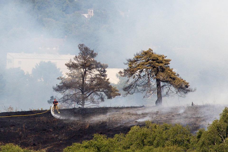 Firefighter at the scene in Lickey Hills Country Park, Birmingham (Anita Maric/SWNS)