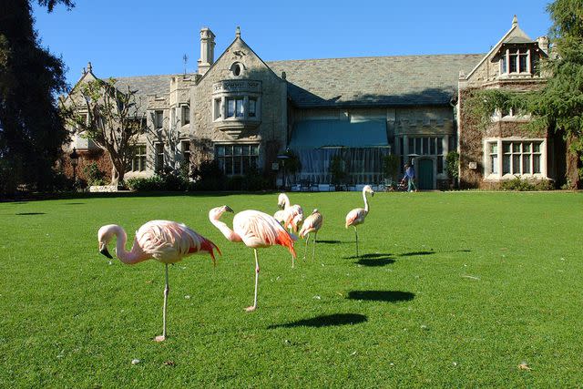 <p>Paul Harris/Getty Images</p> Playboy mansion