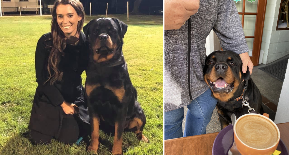 Chantelle Taylor, an Aussie rottweiler owner.