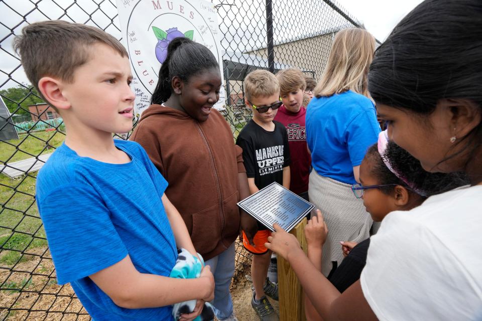 Mannsdale Upper Elementary School fourth-grade students examine a plaque commemorating the school's Project Blueberry, installed among freshly-planted blueberry bushes, April 21, 2023, in Madison, Miss. The students lobbied to have the blueberry designated as Mississippi's official state fruit in a new law that takes effect Saturday, July 1, 2023.