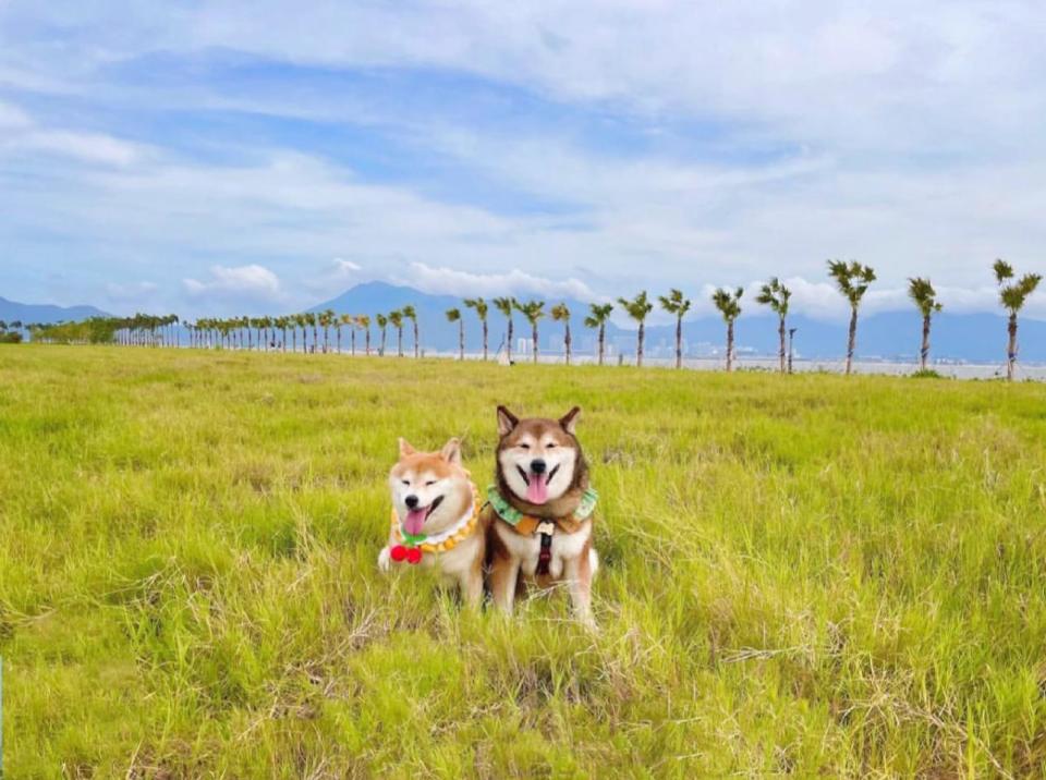 屯門好去處〡屯赤隧道浩和街賞海景/條狀豬頸肉米線/浪漫幻愛橋賞日落