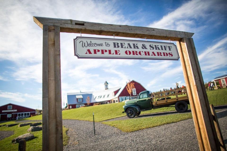 Beak and Skiff Apple Orchards