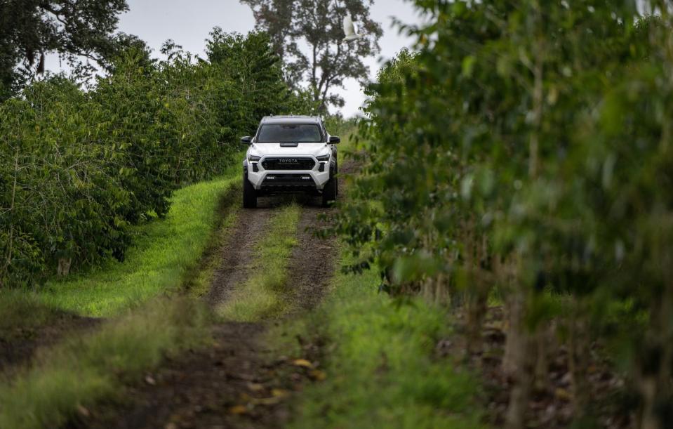 2024 toyota tacoma trd pro