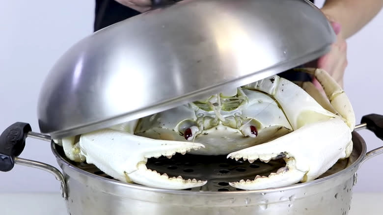 Crab going into steamer