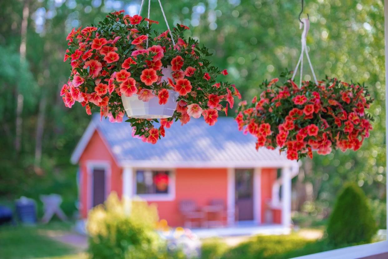 flower bed ideas hanging baskets