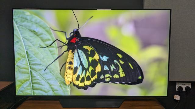 LG G4 OLED TV: it's official - here are the confirmed upgrades