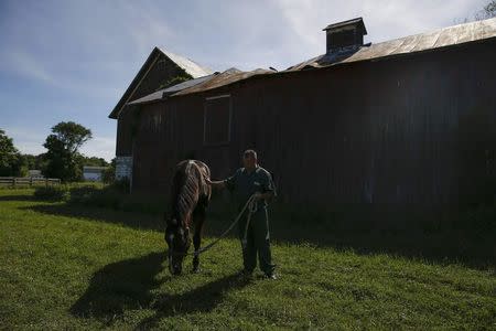 John Cook, an inmate at the State of New York Wallkill Correctional Facility, stands with a retired thoroughbred on a prison farm in Wallkill, New York June 16, 2014. REUTERS/Shannon Stapleton