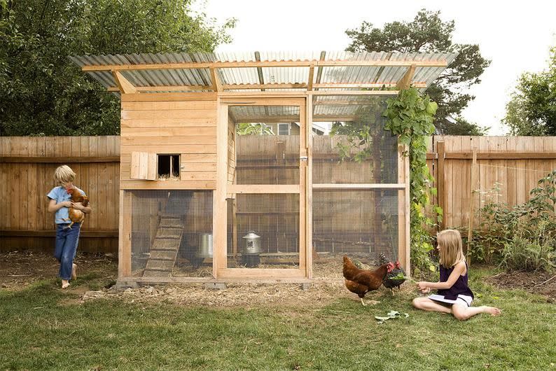 Garden Chicken Coop Plans