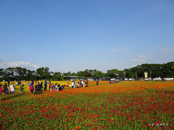 桃園花彩節-楊梅場19.jpg