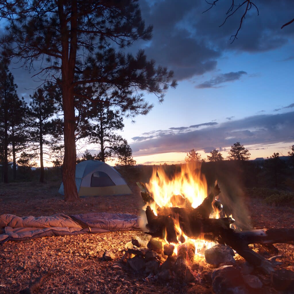 Where to Camp in Jackson Hole