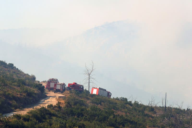 Wildfire burns on Mount Parnitha, near Athens