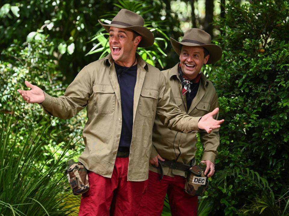 I’m a Celebrity (Rex Features)