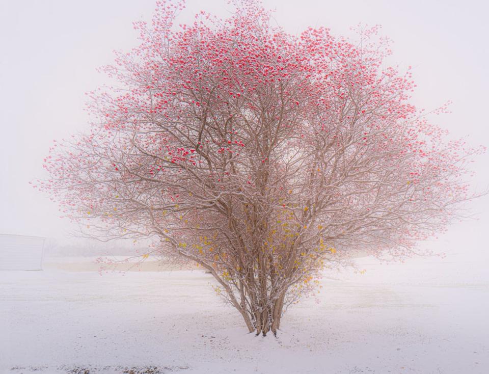 The opening reception for the Finger Lakes Photography Guild's annual exhibit will be Dec. 7. See works like George Wallace's "Winter is Coming."