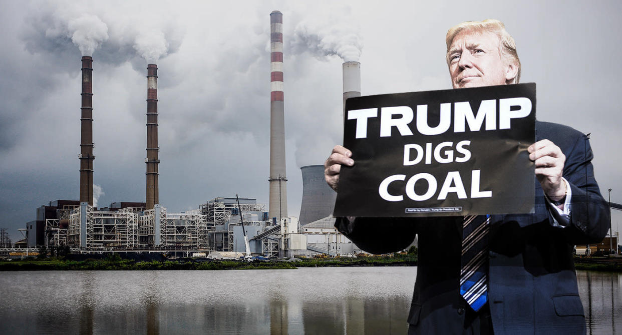 Donald Trump and the Paradise Fossil Plant