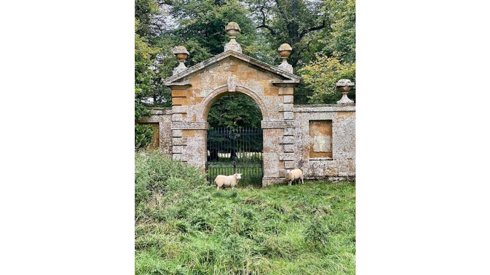 Althorp House sheep 