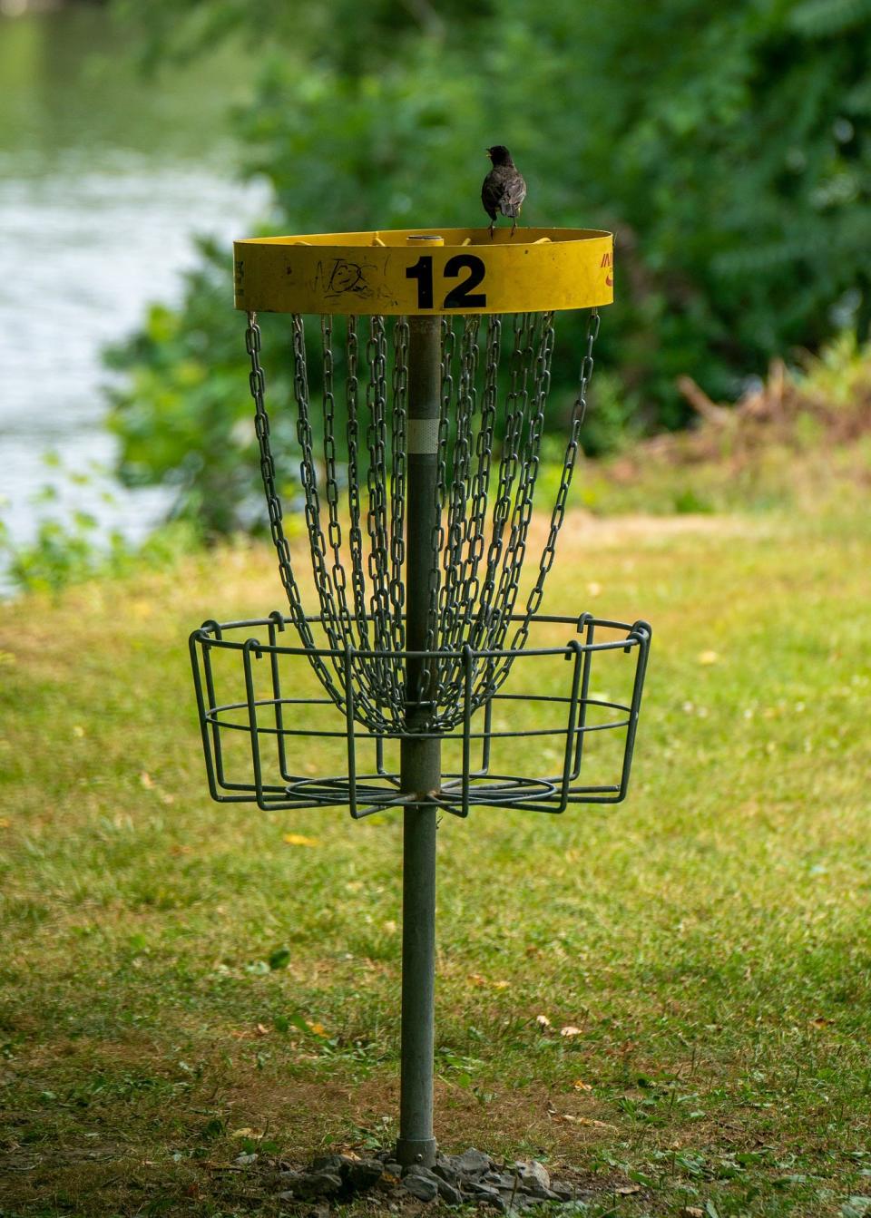 The 6,000-foot disc golf course at Glacier Ridge Metro Park features 18 holes, including six in the woods and 12 in mostly open fields.