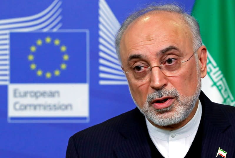 Iran's nuclear chief Ali Akbar Salehi attends a joint news conference with EU Energy Commissioner Miguel Arias Canete at the EC headquarters in Brussels