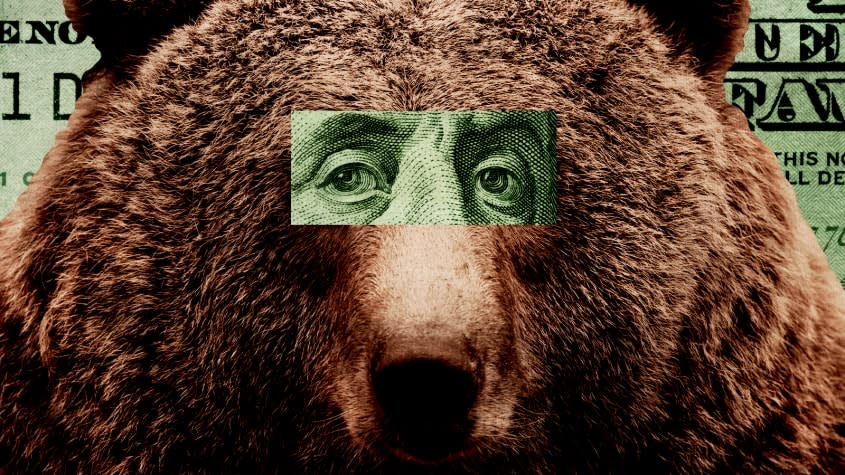 A bear.