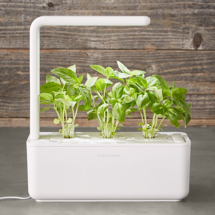 <p><a href="https://go.redirectingat.com?id=74968X1596630&url=https%3A%2F%2Fwww.williams-sonoma.com%2Fproducts%2Fclick-and-grow-smart-garden-3-pod&sref=https%3A%2F%2Fwww.housebeautiful.com%2Flifestyle%2Fgardening%2Fg45292857%2Fbest-indoor-gardening-systems%2F" rel="nofollow noopener" target="_blank" data-ylk="slk:Shop Now;elm:context_link;itc:0" class="link ">Shop Now</a></p><p>Smart Garden, 3-Pod</p><p>williams-sonoma.com</p><p>$99.95</p><span class="copyright">Click and Grow</span>