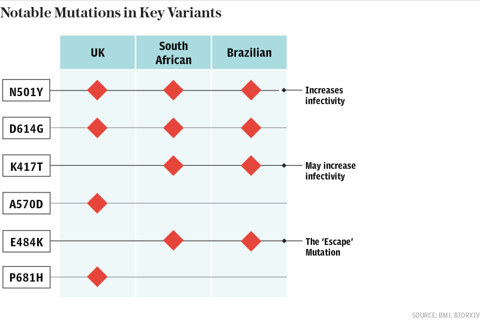 Notable Mutations in Key Variants