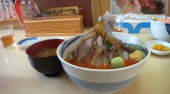 'Dancing' squid appears to come back to life in restaurant (video)