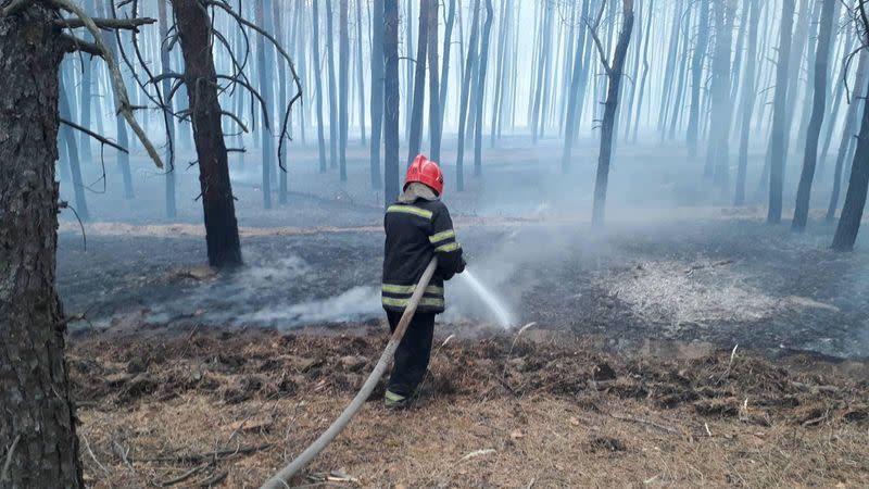 Forest fire in Luhansk region