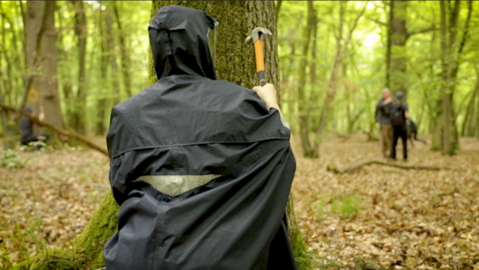 Les naturalistes plantent des clous dans les arbres pour ralentir leurs coupes. Rouen, le 7 mai 2023. 