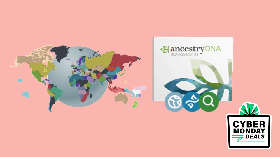 The best Cyber Monday 2022 deals: AncestryDNA