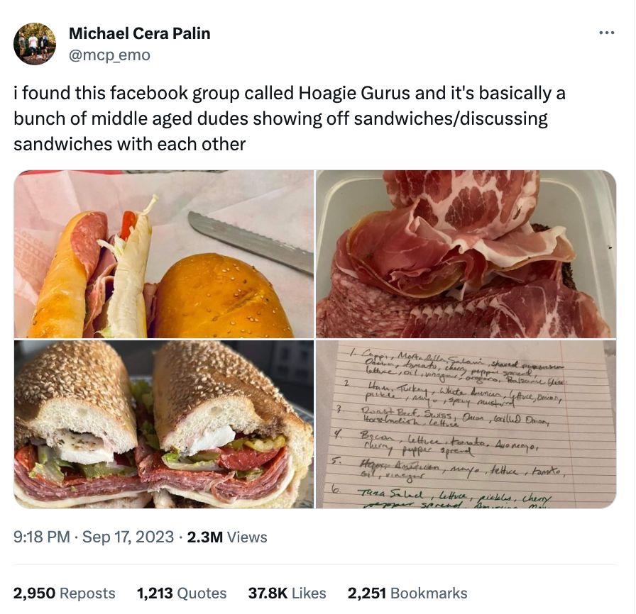 <h1 class="title">hoagiegurus.png</h1>