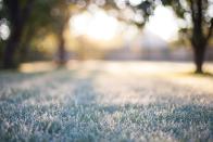 <p>"Vor Nachtfrost du nicht sicher bist - bis Sophie vorüber ist." Damit ist die Kalte Sophie gemeint. Sie gehört zu den Eisheiligen und ist für Kälte verantwortlich. Auch wenn der Frühling warm beginnt, kann es zwischen dem 11. und 15. Mai noch einmal zu Frost kommen. Und trotzdem gibt es keine Garantie, dass nach der Kalten Sophie nicht noch einmal Frost auftritt - laut Wetterstatistik sogar häufiger zum Ende Mai als in der Mitte. (Bild: iStock / gretanrk)</p>