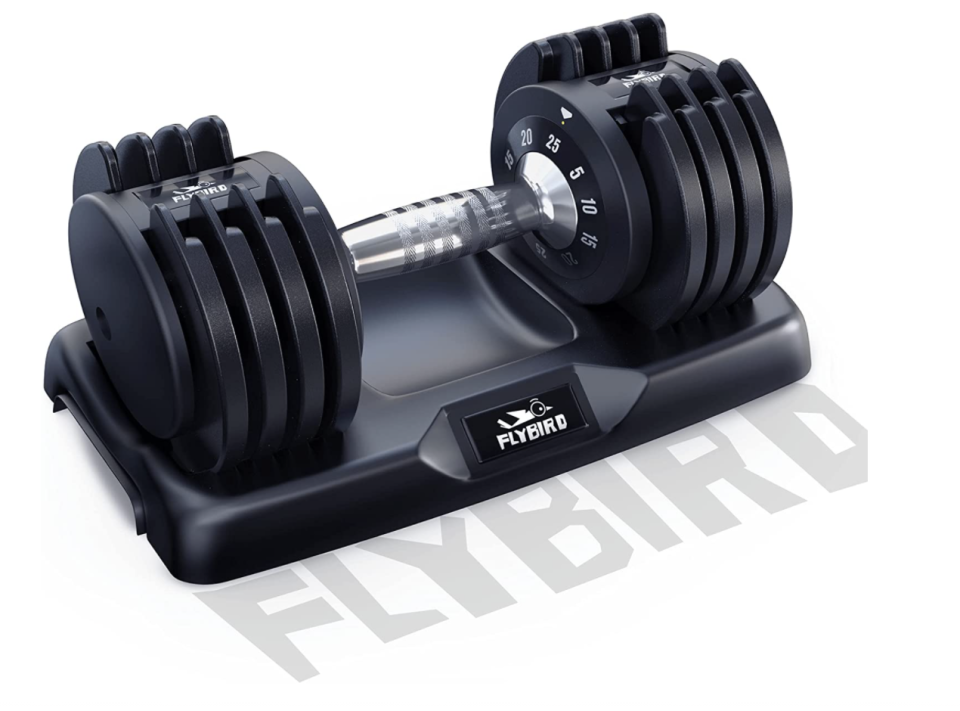 Flybird dumbbell in stand.