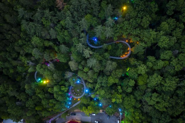 <p>Moonshine Mountain Coaster</p>