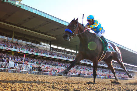 Victor Espinoza aboard American Pharoah (5) goes on to win the 2015 Belmont Stakes and the Triple Crown at Belmont Park. Mandatory Credit: Anthony Gruppuso-USA TODAY Sports