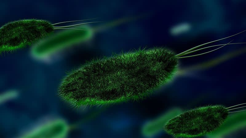 福氏內格里阿米巴原蟲為淡水湖泊、河流中自然生存的單細胞寄生蟲。（示意圖／pixabay）