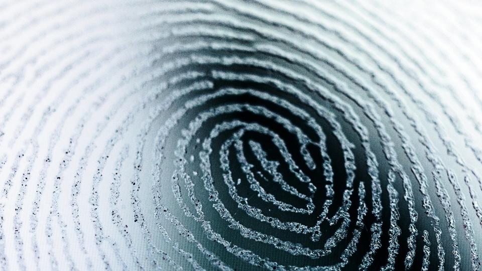 Der Fingerabdruck ist ein gängiger Schlüssel für biometrische Sicherungsverfahren. 
Foto: Henrik Josef Boerger