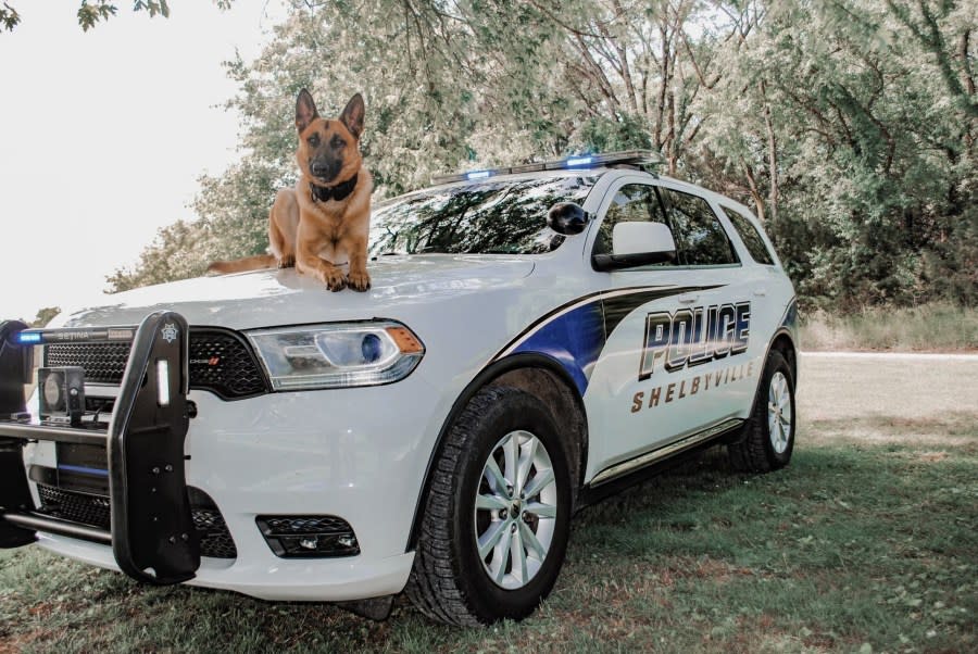 Shelbyville-PD-K9