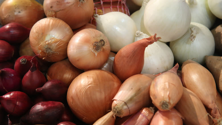 display of shallots and onions