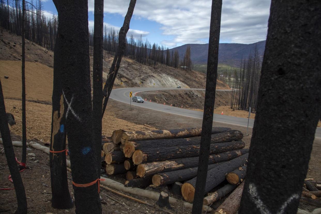 A car drives up the "Crescent Grade" north of the Sierra Nevada town of Greenville.