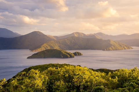 Marlborough Sounds is not a bad place to start a tour of the South Island - Credit: Pintai Suchachaisri/Pintai Suchachaisri