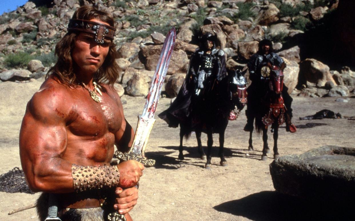 Arnold Schwarzenegger in Conan The Destroyer - Alamy