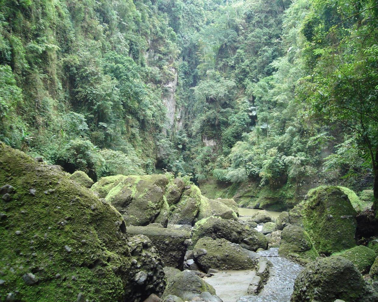 Pagsanjan Gorge National Park, Laguna, Philippines