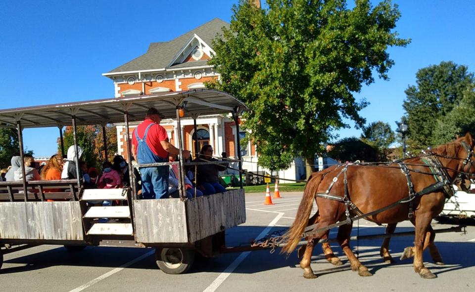 Crowds were treated to horse drawn rides around the square during a Moon Over Macomb event.