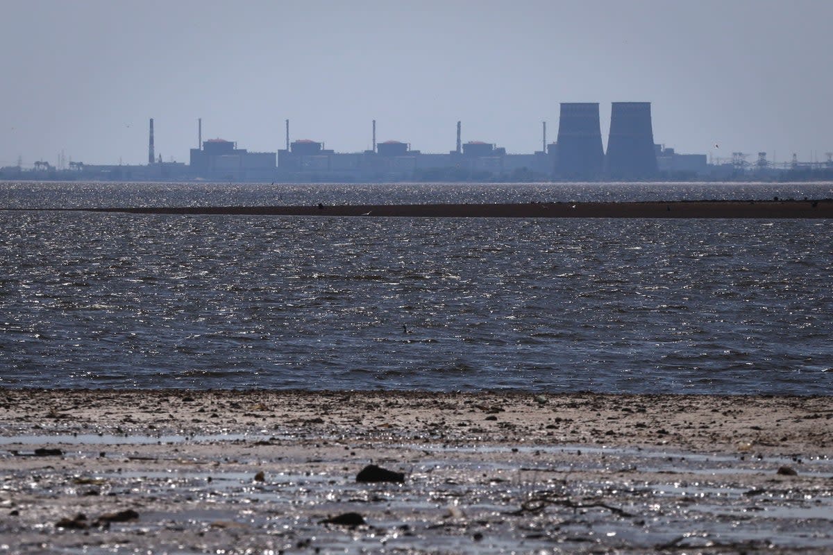 The Zaporizhzhia nuclear power plant, Europe's largest, is seen in the background of the shallow Kakhovka Reservoir after the dam collapse earlier this month (AP)