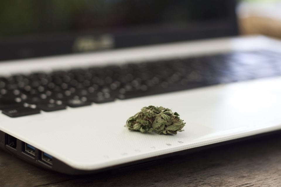 cannabis bud laying on a white laptop