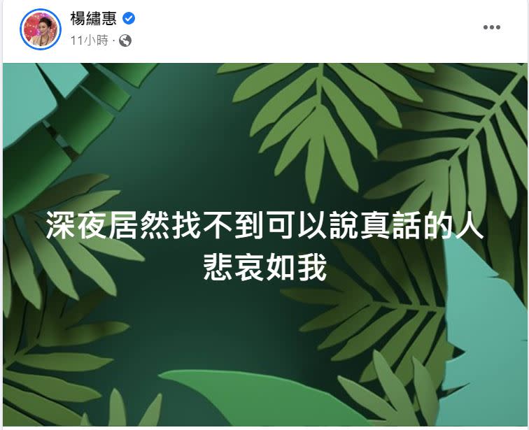 楊繡惠感嘆要聊天找不到人。（圖／翻攝自楊繡惠臉書）