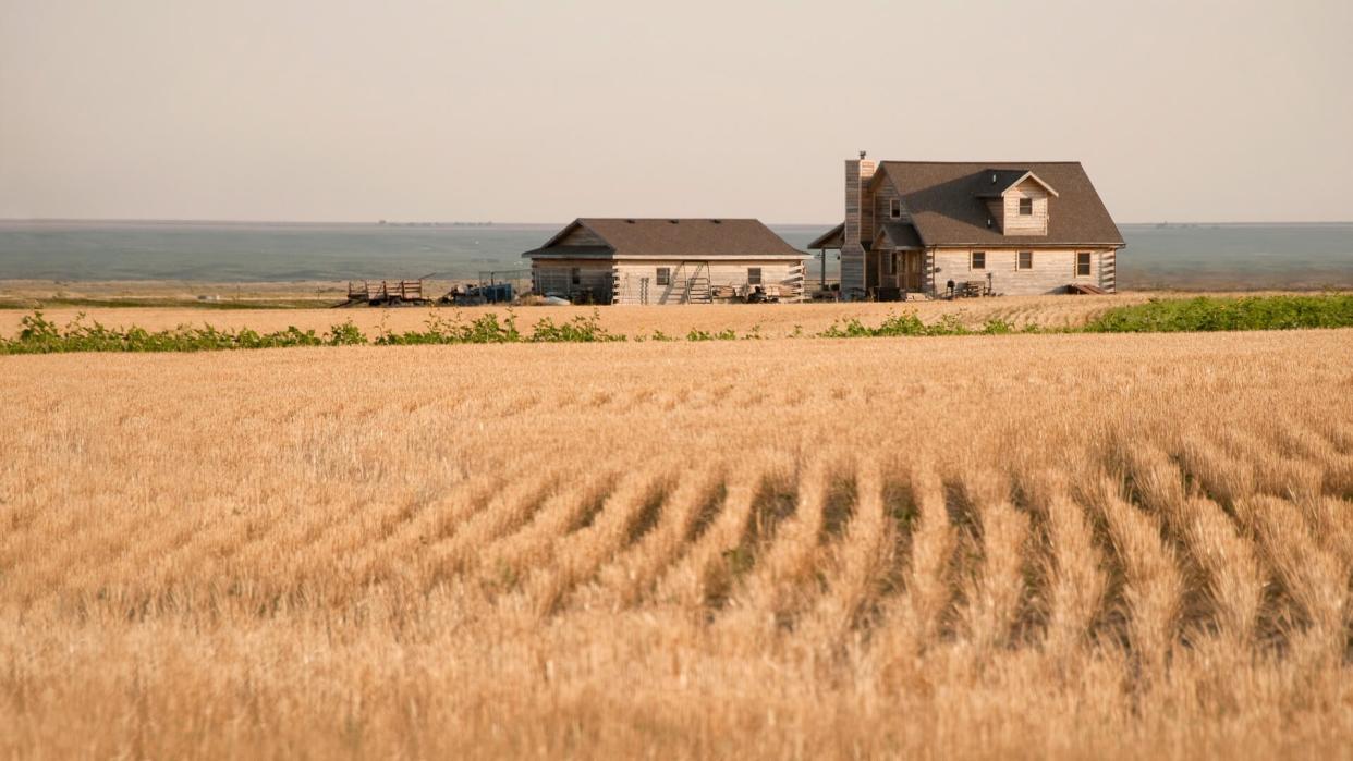 A house amidst the fields of grain in the midwest in the early evening.