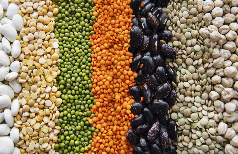 beans, lentils and legumes in a line