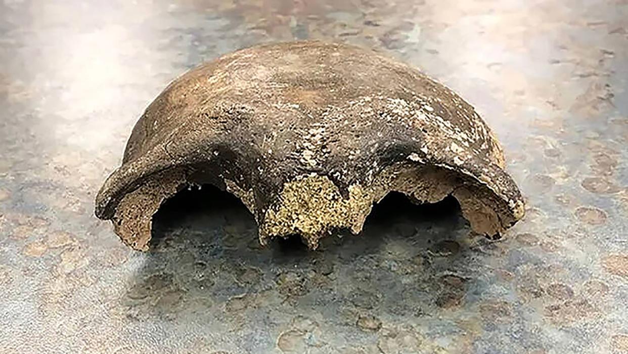 Undated image provided by the Renville County Sheriff’s Office, part of a skull, believed to be about 8,000 years old, found in the Minnesota River in September 2021.