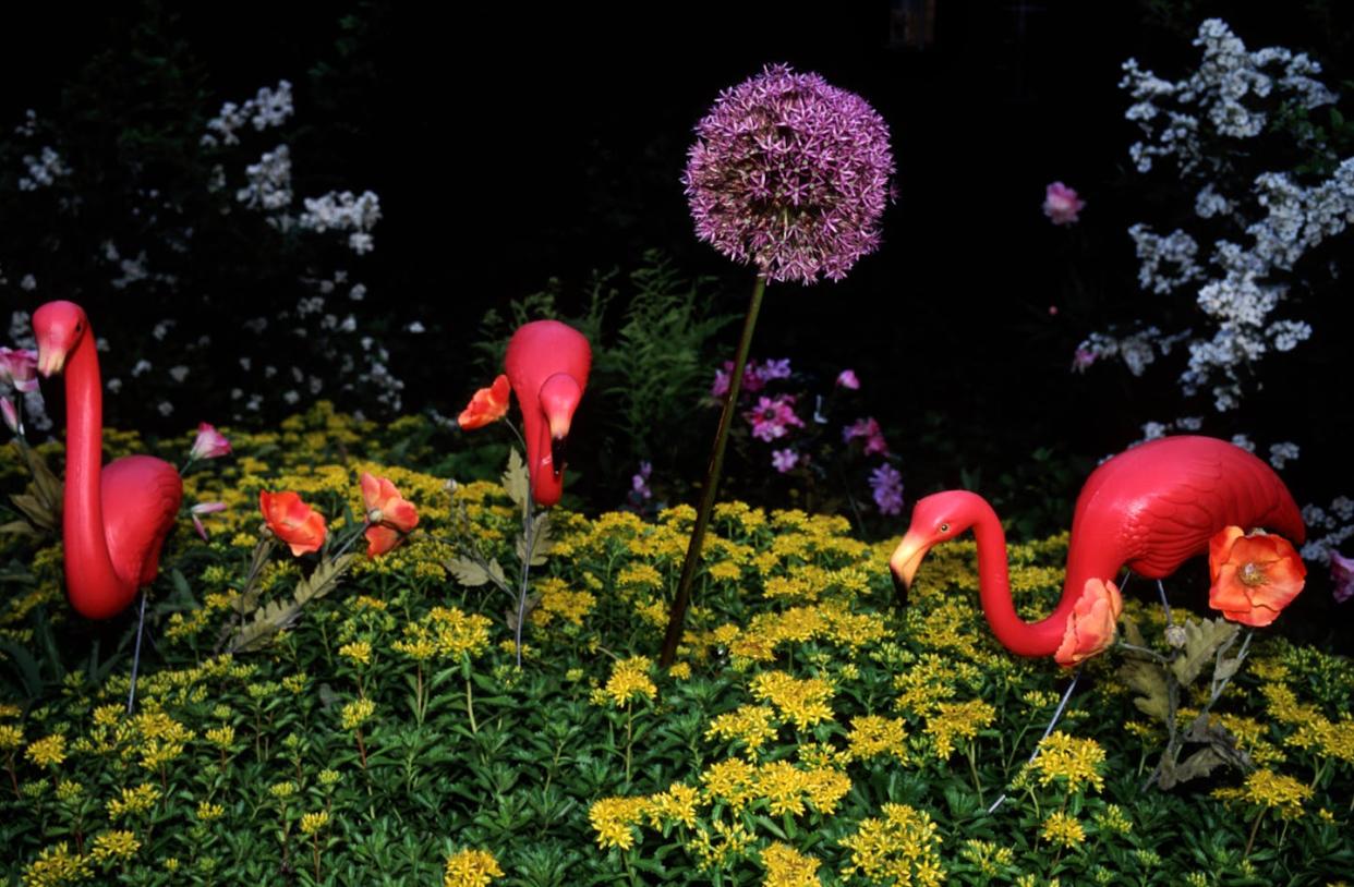 A front lawn can be a canvas for kitsch, elegance and everything in between. <a href="https://www.gettyimages.com/detail/news-photo/flamingos-dot-the-landscape-of-jill-hunters-house-at-a-news-photo/73741620?adppopup=true" rel="nofollow noopener" target="_blank" data-ylk="slk:Jeff Hutchens/Getty Images;elm:context_link;itc:0;sec:content-canvas" class="link ">Jeff Hutchens/Getty Images</a>